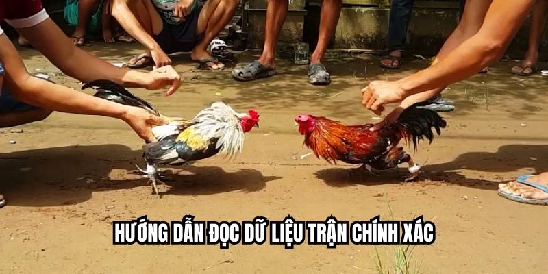 Hướng dẫn đọc dữ liệu trận chính xác
